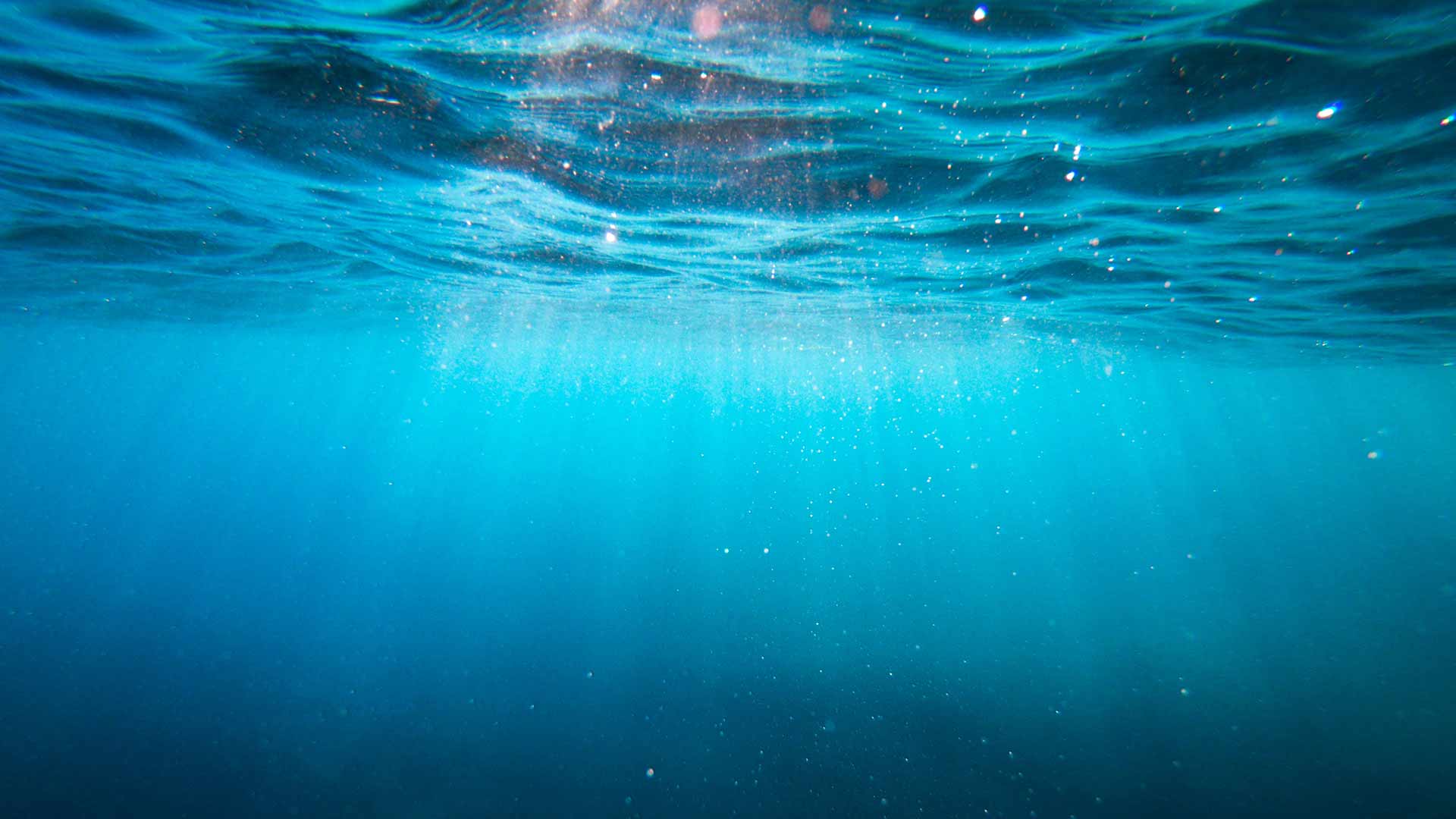 machines à sous sur la peche pour les quebecois